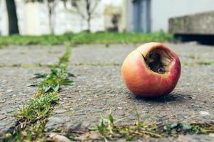 maçã podre em uma rua foto