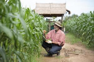 agricultores mais velhos usam tecnologia em campos de milho agrícolas. foto