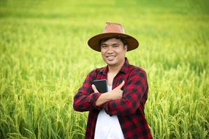 um agricultor em um campo de trigo maduro planeja uma atividade de colheita, um agrônomo masculino está feliz em um campo de arroz. foto