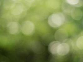 fundo de bokeh natural ao ar livre na luz solar dourada com tons verdes e amarelos, luz turva e fundo de folha com bokeh foto