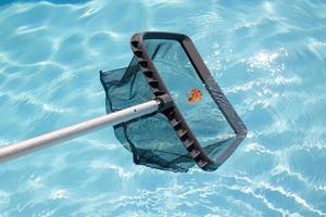 limpeza e manutenção de piscina com net skimmer foto