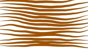 belo padrão de linha abstrata de textura de pele de tigre ou zebra. foto