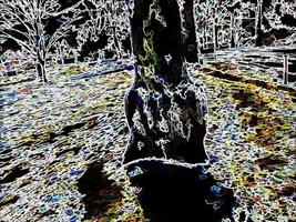 fundo de galhos de árvores abstratas de ilustração digital foto
