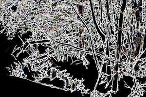fundo de galhos de árvores abstratas de ilustração digital foto