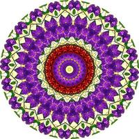 padrão de flores étnicas estilo mandala brilhante. forma de flor incomum. oriental ., padrões de terapia anti-stress. tecer elementos de design foto