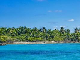 bela praia natural tropical e floresta panorama contoy ilha méxico. foto