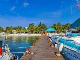 cancun quintana roo méxico 2022 passeio de barco cancun méxico para a ilha mujeres contoy tubarão-baleia. foto