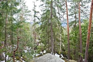 dovbush rochas na floresta verde nas montanhas dos cárpatos. foto