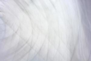 banner de fundo abstrato branco cinza com curvas e linhas. pano de fundo foto