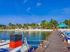 cancun quintana roo méxico 2022 passeio de barco cancun méxico para a ilha mujeres contoy tubarão-baleia. foto