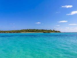 bela praia natural tropical e floresta panorama contoy ilha méxico. foto