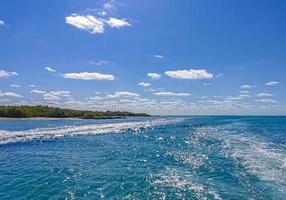 bela praia natural tropical e floresta panorama contoy ilha méxico. foto