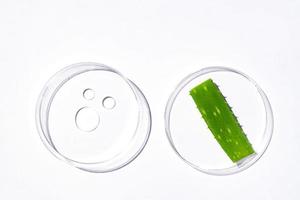 placas de petri de vidro com gotas de gel de aloe no rosto e folha de planta de aloe vera. extrato de erva. Produtos cosméticos. laboratório de cosméticos ciência dermatologia foto