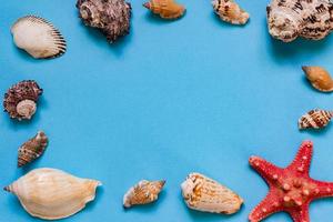 conchas do mar e estrelas do mar sobre fundo azul claro com espaço de cópia. férias de verão e conceito de férias foto