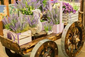 carrinho de mão com caixas de madeira cheias de flores desabrochando de lavanda. elementos decorativos. foto