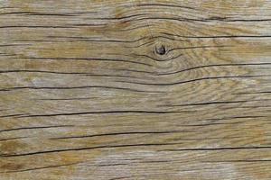 textura de fundo de madeira natural velha foto