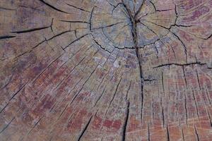 textura de fundo de madeira natural velha foto