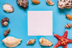 conchas do mar e estrelas do mar sobre fundo azul claro com espaço de cópia. férias de verão e conceito de férias foto