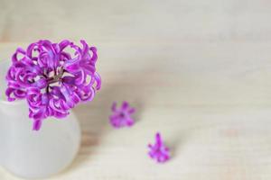lindo jacinto roxo florescendo em vaso de vidro branco na mesa de madeira. buquê de primavera para decoração de interiores, fundo criativo com espaço de cópia foto