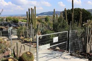 nahariya israel 1 de agosto de 2019 cerca em um parque da cidade nas margens do mar mediterrâneo. foto