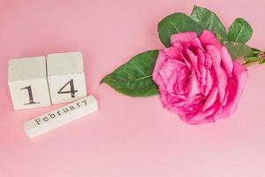 conceito de dia dos namorados e feriados - close-up do calendário de madeira com data de 14 de fevereiro e rosa rosa em fundo rosa foto