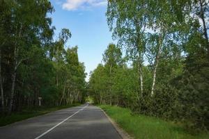 paisagem com a estrada para o espeto da Curlândia, região de Kaliningrado.