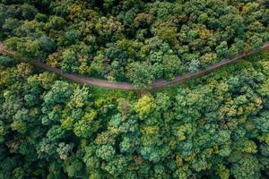 estrada de vista aérea através da floresta verde foto