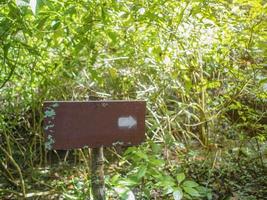 posto de guia na montanha khao luang no parque nacional de ramkhamhaeng, província de sukhothai tailândia foto