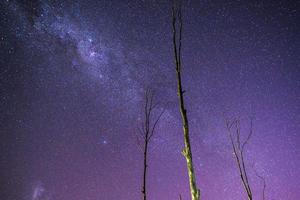 estrelas sobre Queensland foto