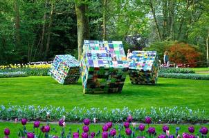 ergernis en gemak grandes cubos coloridos no parque keukenhof em holl foto