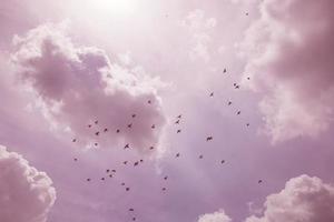 um bando de pássaros voando para o sul contra um céu nublado foto