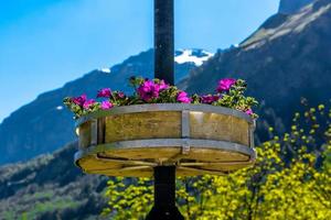 flores de violetas na coluna com montanhas alpinas ao fundo, foto