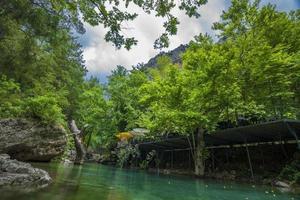 montanha rio corrente cascata verde floresta panorama natureza plantar árvore floresta tropical selva foto