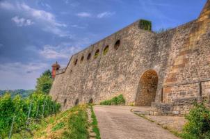 parede de pedra do castelo da fortaleza de marienberg através de uvas para wur foto