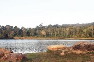 parque com lago e jardim de árvores naturais foto