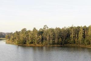 parque com lago e jardim de árvores naturais foto