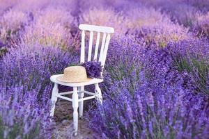 cadeira branca com buquê de lavanda e chapéu de palha na flor de lindas flores de lavanda. viagens, natureza, verão, conceito de agricultura foto