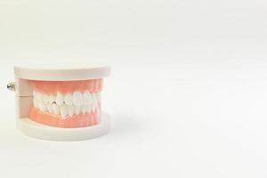 o modelo de dente em fundo branco para conteúdo odontológico. foto