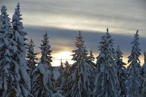 paisagem de montanha do inverno foto