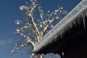 paisagem de montanha do inverno foto