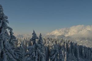 paisagem de montanha do inverno foto