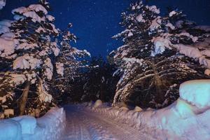 inverno noite paisagem natureza floresta foto