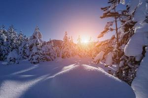 nascer do sol de inverno com floresta coberta de neve fresca e montanhas