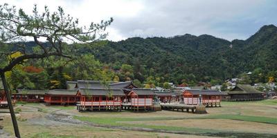 santuário de madeira sagrado japonês na ilha de miyajima no japão foto