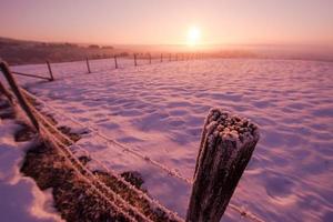 paisagem de inverno cênica com árvore solitária foto