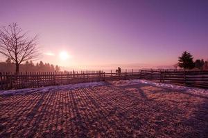 paisagem de inverno cênica com árvore solitária foto