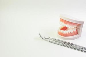 o modelo de dente em fundo branco para conteúdo odontológico. foto