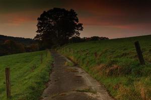 crepúsculo, trilha e árvore foto