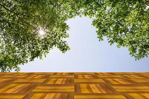 plataforma de espaço de tábua de madeira vazia com natureza de galhos de árvores foto
