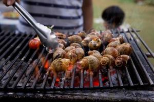 jantar churrasco com babilônia malhada grelhada no fogão a carvão foto